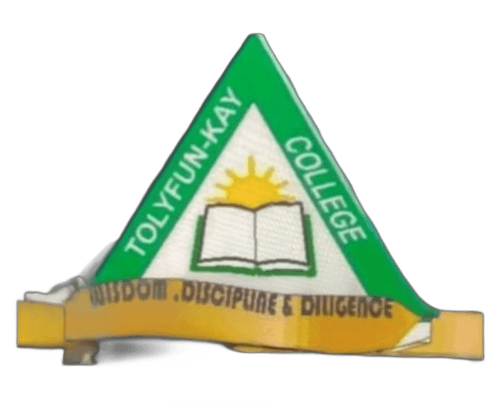 Tolyfun Logo